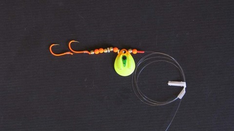 Sierra Gold Kokanee lures with Gammy hooks and Fluorocarbon leader