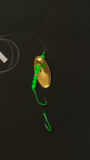 Green gold plated in-line Kokanee lure